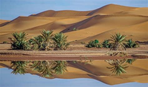 صور عن صحراء الجزائر